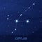 Constellation Grus, Crane, night star sky