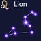constellation Lion with stars in the night sky