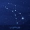 Constellation Lupus, Wolf, night star sky
