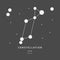 The Constellation Of Lyra. The Lyre - linear icon. Vector illustration of the concept of astronomy.