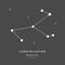 The Constellation Of Monoceros. The Unicorn - linear icon. Vector illustration of the concept of astronomy.