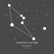 The Constellation Of Reticulum. The Reticle - linear icon. Vector illustration of the concept of astronomy.