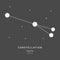 The Constellation Of Sagitta. The Arrow - linear icon. Vector illustration of the concept of astronomy.