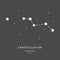 The Constellation Of Vulpecula. The Fox - linear icon. Vector illustration of the concept of astronomy.