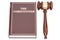 Constitution book with gavel, 3D rendering