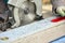 A construction contractor worker using a worm-driven hand-held circular saw to cut boards and plastic. Construction