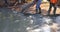 Construction contractors pouring wet concrete while paving a driveway as they work on a concrete construction project