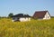 Construction of cottages from a silicate brick in golden rod thickets