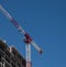 Construction crane towering over an unfinished building