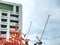 Construction Cranes and Building with Blurred Plant Foreground