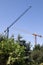 Construction cranes silhouetted against blue sky
