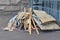Construction debris wooden boards and cardboard on the street. After construction or repair