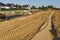 Construction of a floodbank or levee along a river