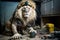 Construction Lion Builds Incredible Zoo Habitat with SuperResolution and VR Technology