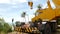 Construction machines working in tropical forest. Side view of yellow crane cutting down exotic trees in tropics