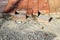 Construction of a new pavement of paving slabs. Pavement cobbles