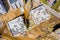 Construction site with cranes. Construction workers are building. Aerial view of construction site of residential area buildings