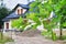 Construction site of a detached house being seen through the branches of oak