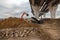 Construction site with excavators and sand