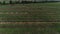 Construction of solar power station in the field, rows of racks for solar panels