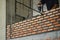 Construction technician work in brickwork using trowel putty knife bricklayer  installing brick masonry on an interior wall within