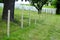 Construction of a wooden fence on green grass