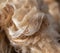 Construction wool insulation as abstract background
