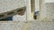 Construction worker builds brick wall, closeup view at construction site