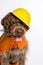 Construction worker dog