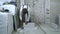 Construction worker grinding aerated concrete block at construction site