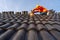 A Construction worker install new roof, Electric drill used on new roofs with Concrete Roof Tiles, Roofing tools. Selective focus