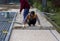 Construction worker laying interlocking paving concrete