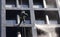 Construction worker power washes windows one of the office buildings in Downtown Vancouver