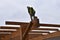 Construction worker saws beams in a demolition project