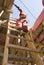 Construction Worker Stands on Ladder - Vertical