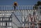 Construction worker on top of steel framing in white hard hat and orange long sleeve shirt