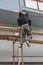 Construction workers climbs on scaffolding