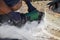 Construction workers cutting stone - close-up