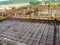 Construction workers fabricated timber formwork and reinforcement bar.