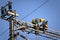 Construction workers fixing overhead electrical cables of Pune Metro project