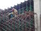 Construction workers wearing safety gear and safety harness while installing scaffolding at a high level