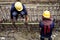 Construction workers wearing safety helmets at Work ,sitting on steel reinforcement bar and holding steel pipe,scaffolding pipe