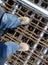 Construction workers wearing steel toe safety shoes standing on top of the steel reinforcement bar.