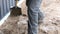 Construction working man uses a flat shovel to scrape brown dirt by a wall.