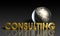 Consulting Services