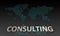 Consulting Services