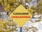 Consumer onboarding symbol. Concept words Consumer onboarding on beautiful yellow road sign. Beautiful forest snow blue sky