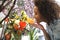 Consumerism: Woman smelling fresh flowers.