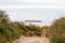 Container boat seen from the dunes.