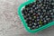 Container of freshly picked wild blueberries on a gray background